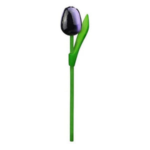 Tulips - Wood Eggplant/White (20cm)