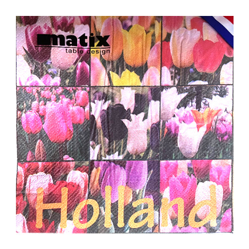 Paper Napkins - Colour Tulip Tiles (20)