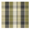 TT - 5D Liverpool (Olive)